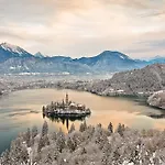 Fine * Bled