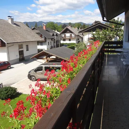Apartment Fine Bled