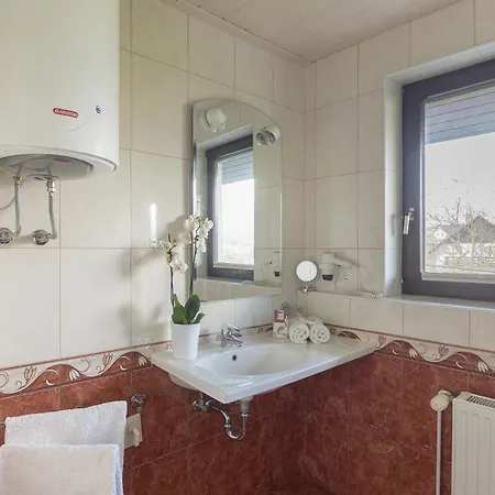 أنتونيجا بولاك