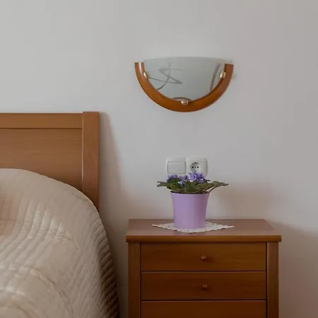 أنتونيجا بولاك *